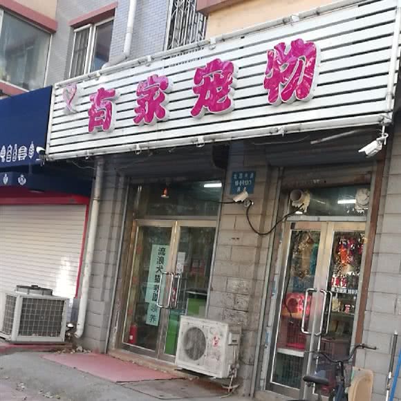 有家宠物:沈阳市铁西区铁西广场附近