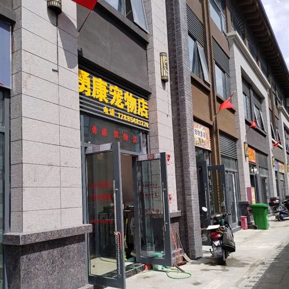 勇康宠物店:贵阳市南明区