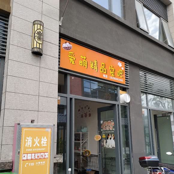 爱萌精品宠吧:贵阳市南明区