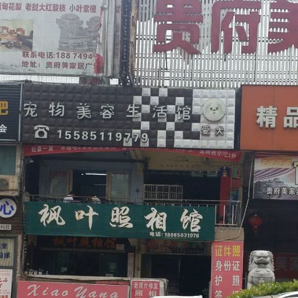 宠物美容生活馆:贵阳市南明区