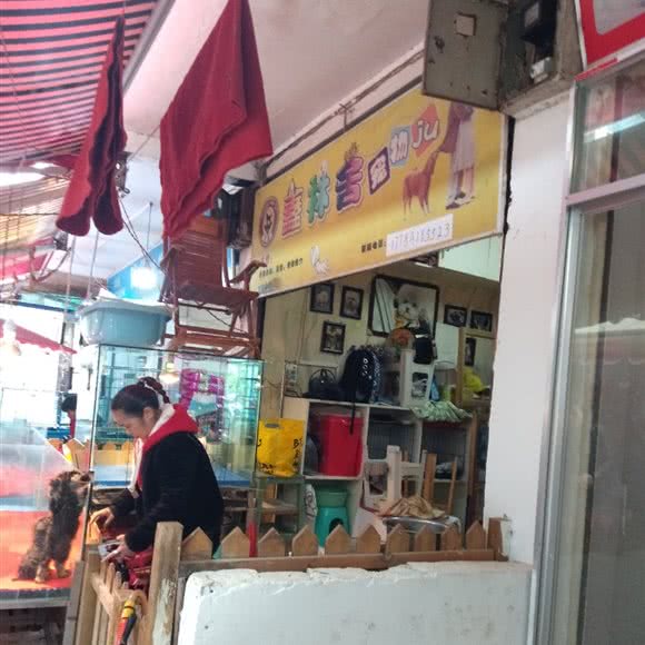 鑫林舍宠物儿:贵阳市南明区