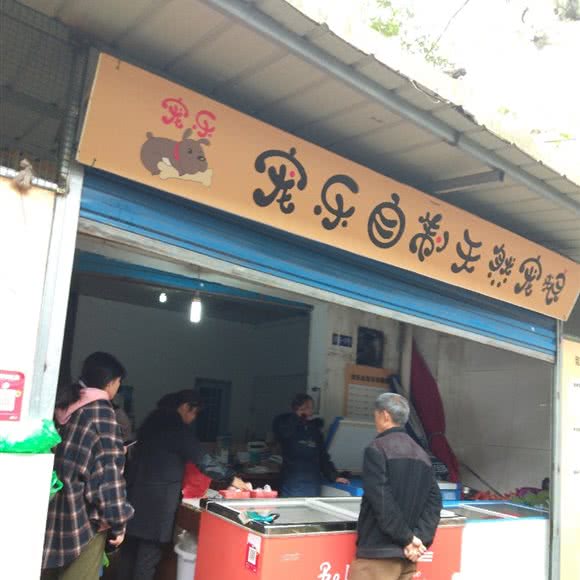 宠乐自制天然宠物:贵阳市南明区