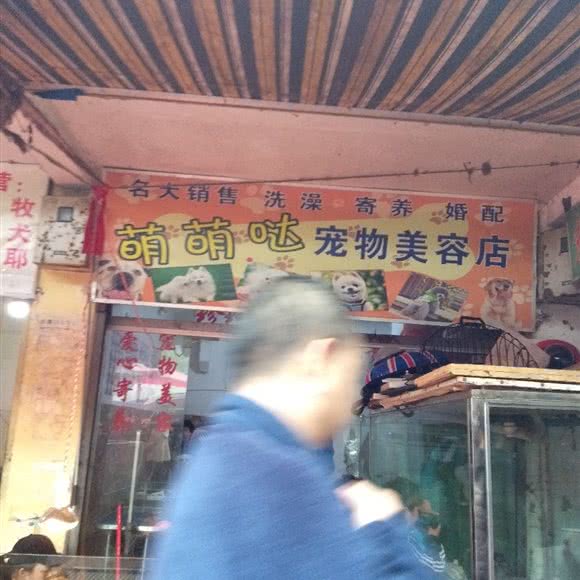 萌萌哒宠物美容店:贵阳市南明区