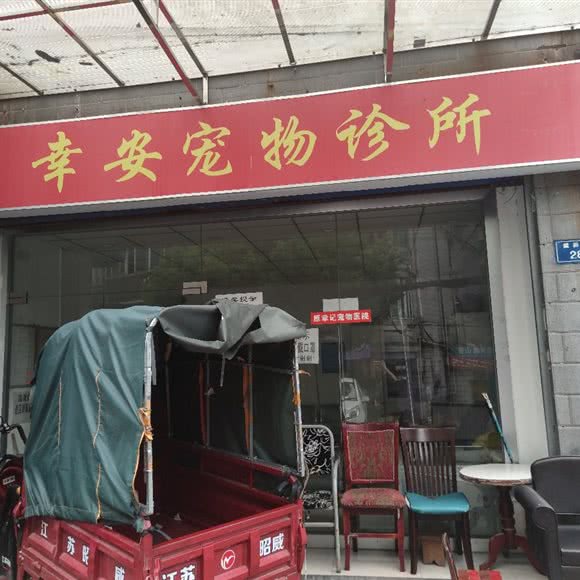 幸安宠物诊所:贵阳市南明区