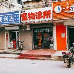 贵和宠物诊所:沈阳市铁西区铁西广场附近