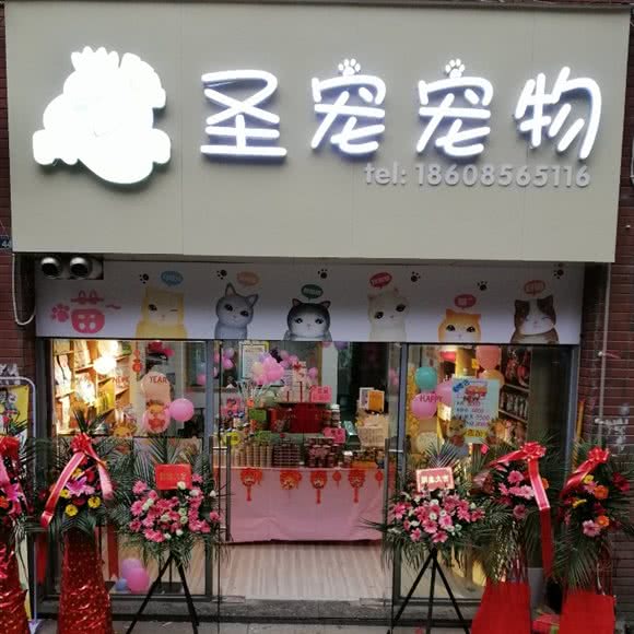圣宠宠物店(云岩店):贵阳市云岩区