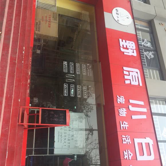 野原小白宠物生活会馆:贵阳市云岩区