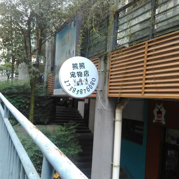 熊熊宠物店:贵阳市云岩区