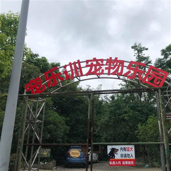 宠乐训宠物乐园:贵阳市花溪区