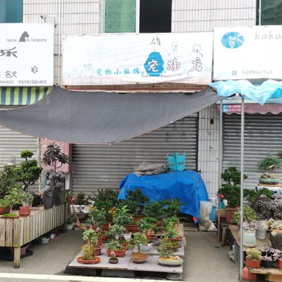 洋洋面包店:贵阳市花溪区