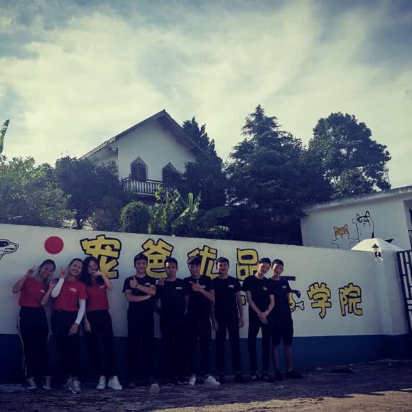 宠爸优品汪学院:贵阳市乌当区