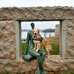 幺玖家庭式训犬工作室:贵阳市白云区