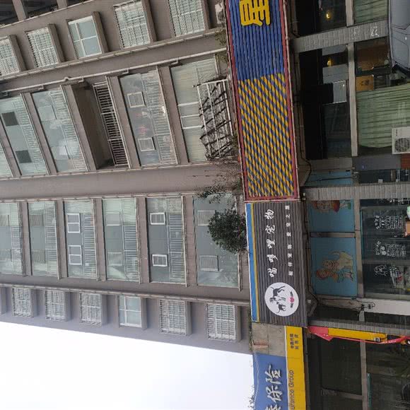 喵哆哩宠物店:六盘水市钟山区