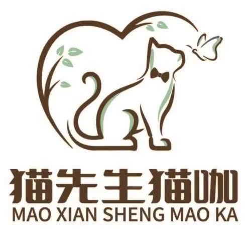 猫先生猫咖:六盘水市钟山区