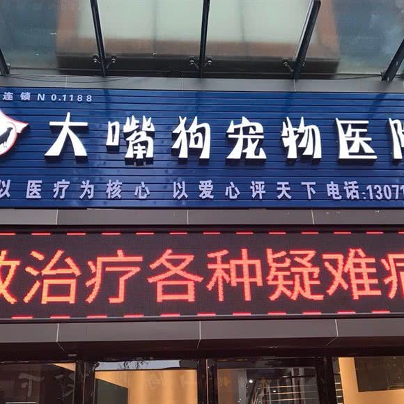 大嘴狗宠物医院:六盘水市钟山区