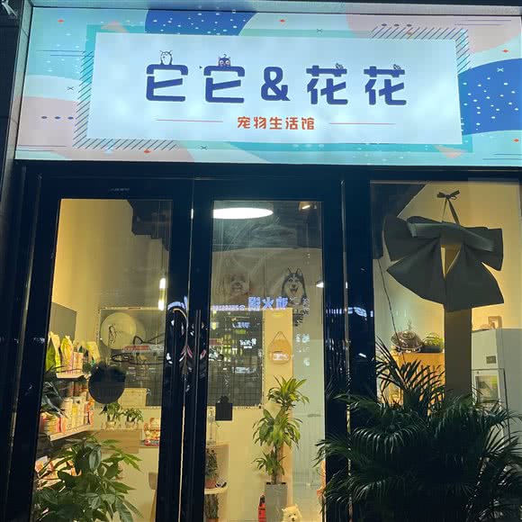 它它&花花宠物生活馆:遵义市红花岗区