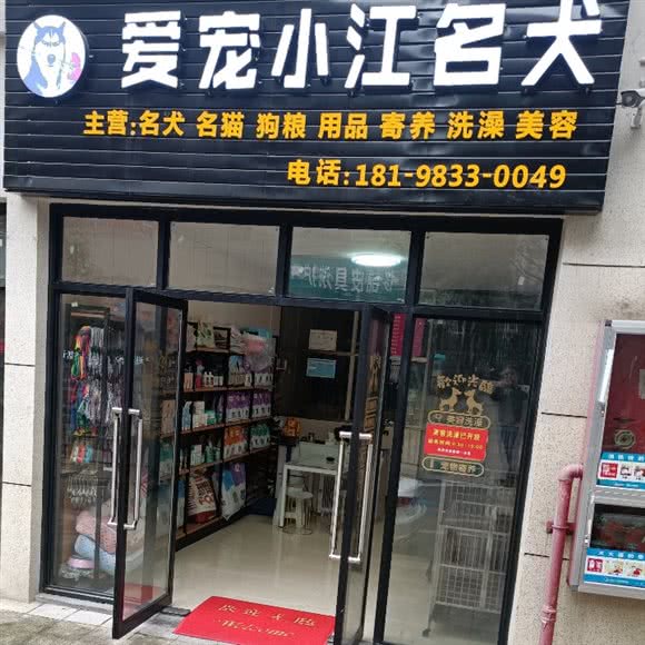 爱宠大江名犬主营各款名犬售卖:遵义市红花岗区