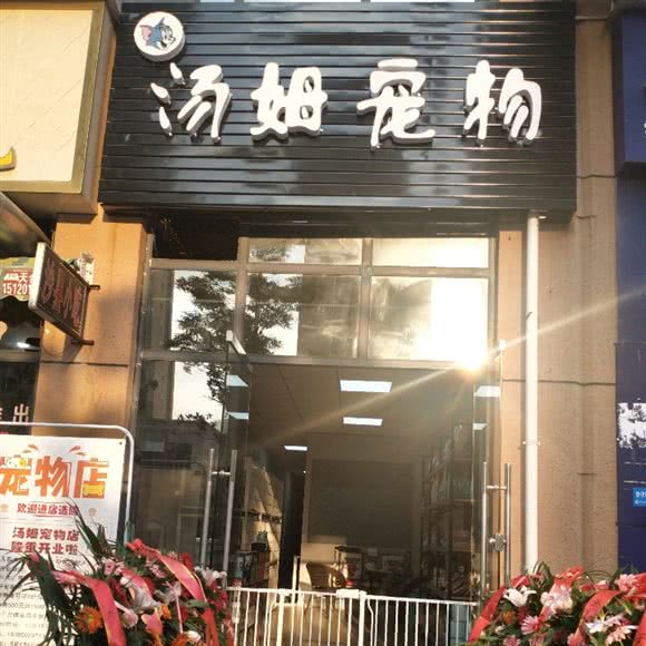 汤姆宠物:遵义市红花岗区