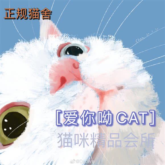 爱你哟宠物精品猫咪会馆:沈阳市铁西区北二路附近