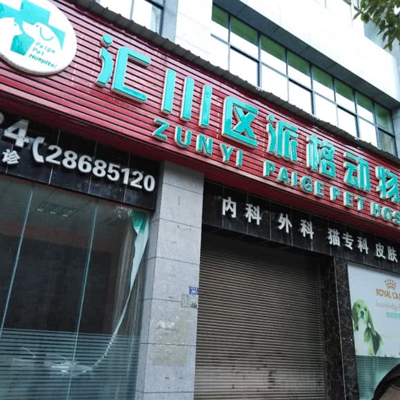 汇川区派格动物医院:遵义市汇川区