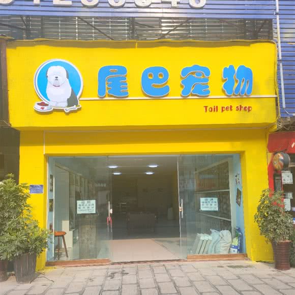 尾巴宠物:遵义市播州区