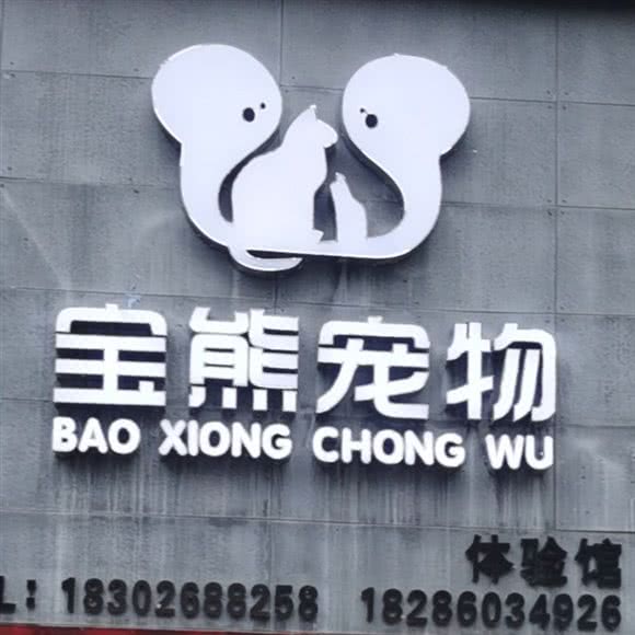 宝熊宠物体验馆(狗店):遵义市播州区