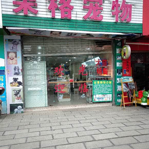 朵格宠物:遵义市播州区