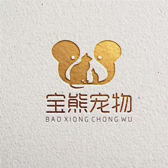宝熊宠物形象店(猫店):遵义市播州区