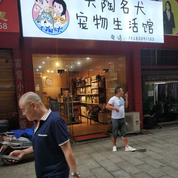 大陶名犬宠物生活馆:遵义市播州区