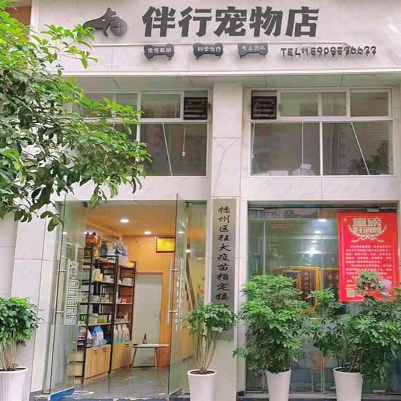 伴行宠物店:遵义市播州区