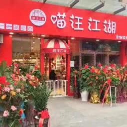 喵汪江湖宠物精致生活馆:遵义市桐梓县