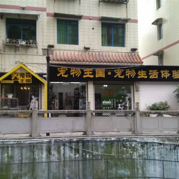 宠物王国:遵义市正安县