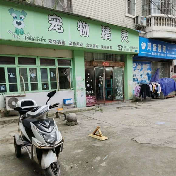 宠物精灵:遵义市习水县