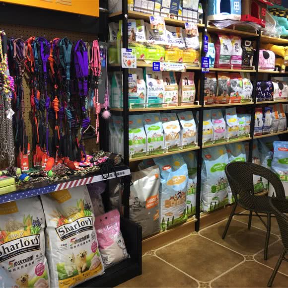 宠乐宠物:毕节市七星关区