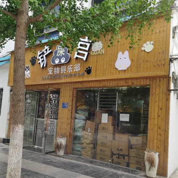 铲屎官宠物俱乐部:毕节市七星关区
