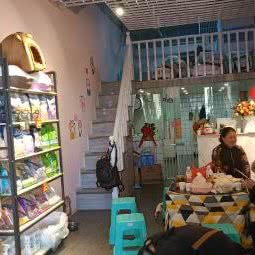 顽宠熊宠物店:毕节市七星关区