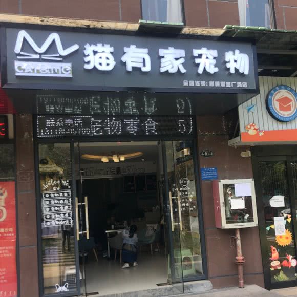 猫有家宠物(樽憬财富广场店):毕节市七星关区