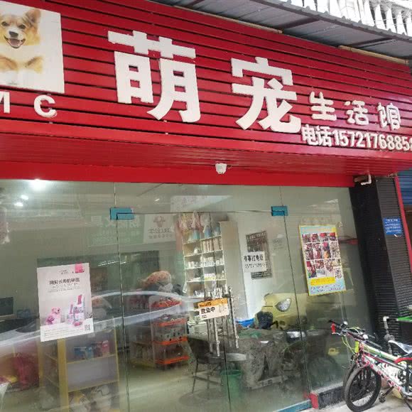 萌宠生活馆:毕节市七星关区