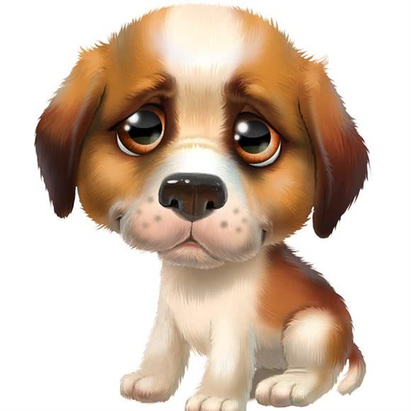 阿坤宠物会所(七星关区店):毕节市七星关区