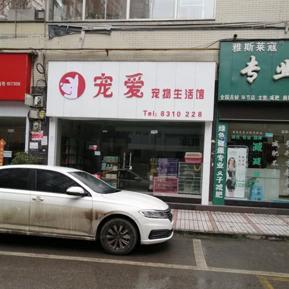 宠爱宠物生活馆:毕节市七星关区