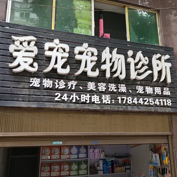 爱宠宠物诊所:毕节市七星关区