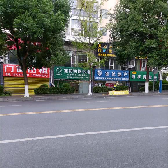 旭和动物诊所(毕节店):毕节市七星关区