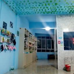 美宠生活馆:毕节市大方县