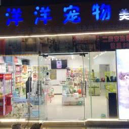 洋洋宠物美容沙龙:毕节市黔西市