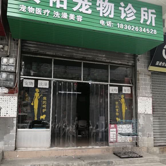 安佑宠物诊所:毕节市黔西市