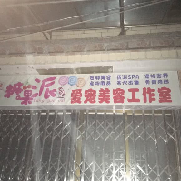 糖果派爱宠美容工作室:毕节市金沙县