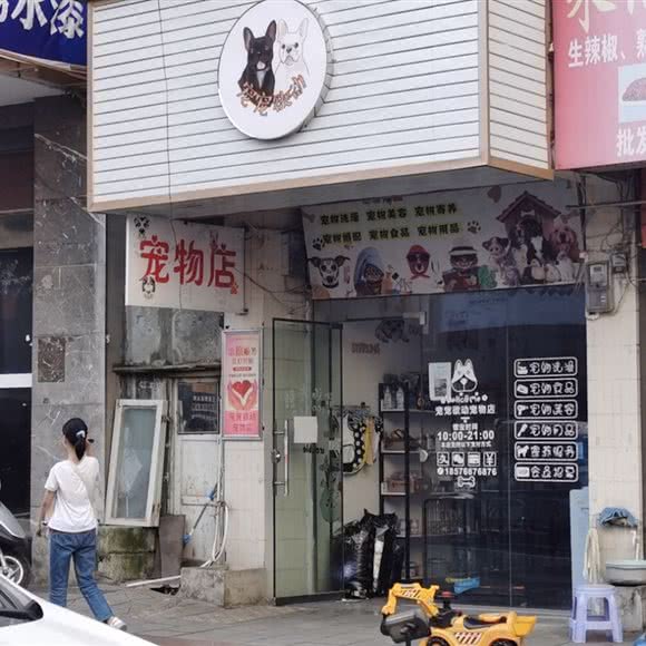 宠宠欲动宠物店:毕节市织金县