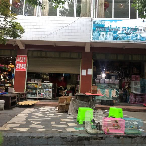 画眉笼:毕节市织金县