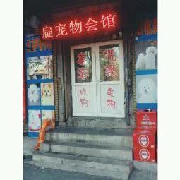 老扁宠物狗会馆:沈阳市铁西区重工街沿线附近