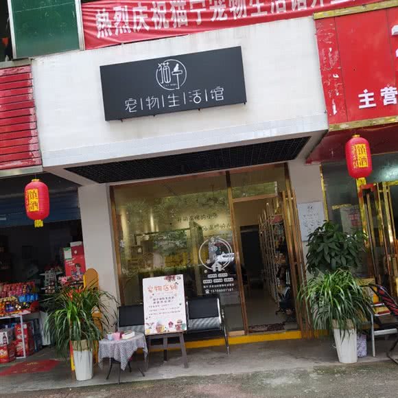 猫宁宠物生活馆:铜仁市碧江区